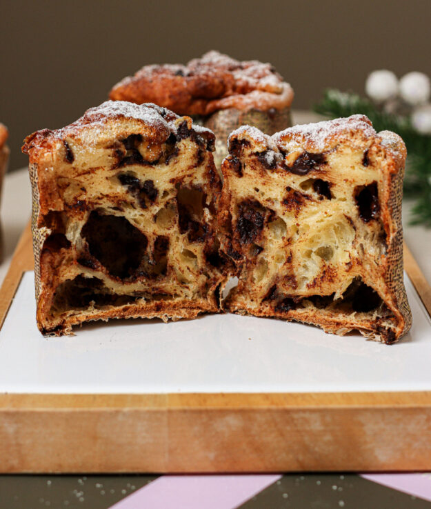 cropped-IMG_9129-scaled-3